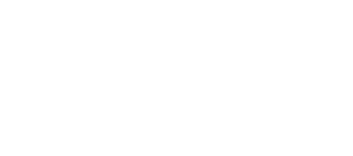 undertheinfluence.store